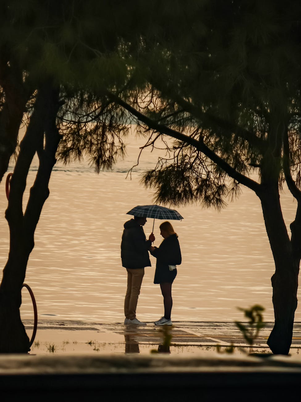 Love and Transformation